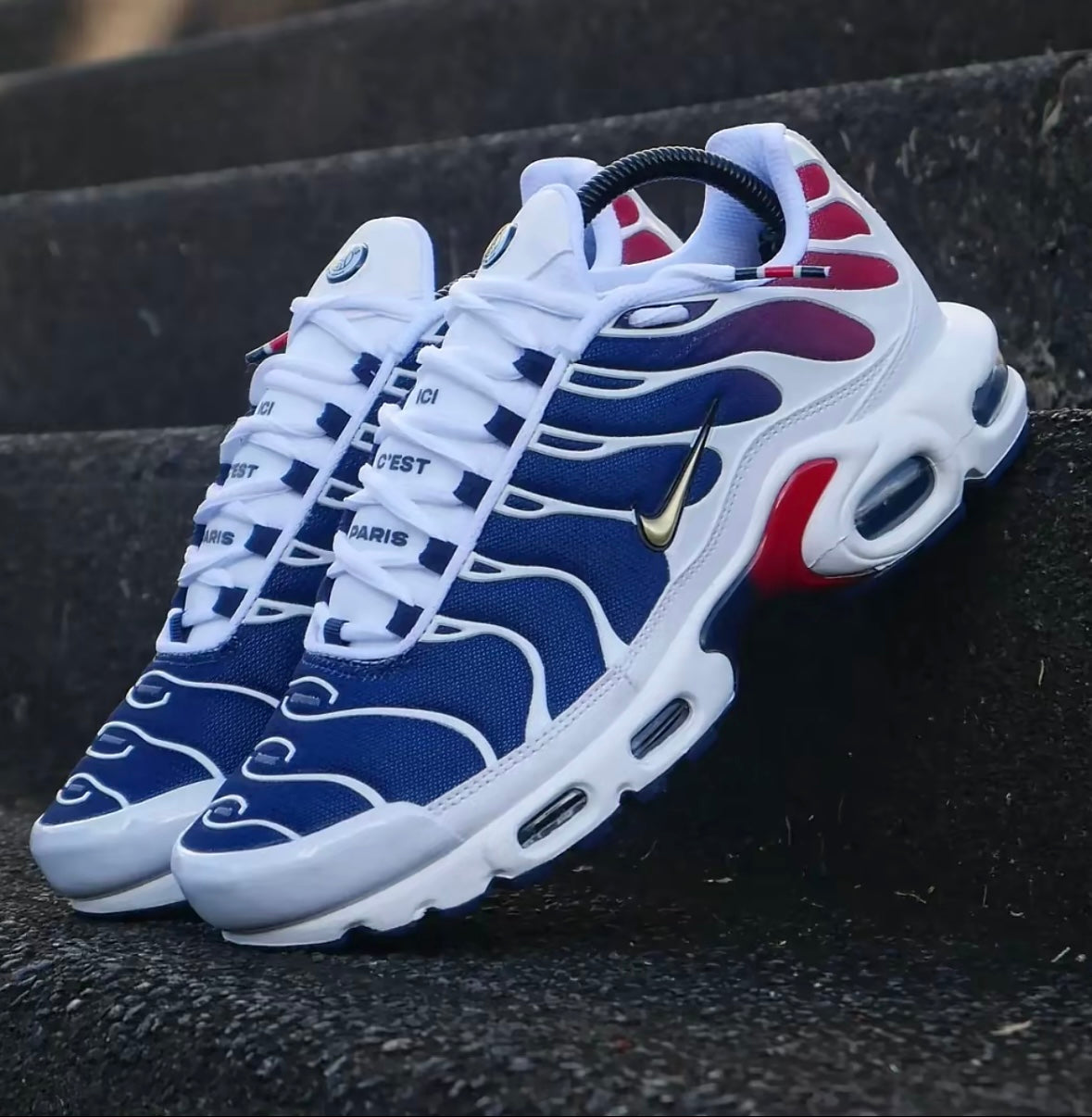 Tn Air Max Plus - PSG Sap Acces