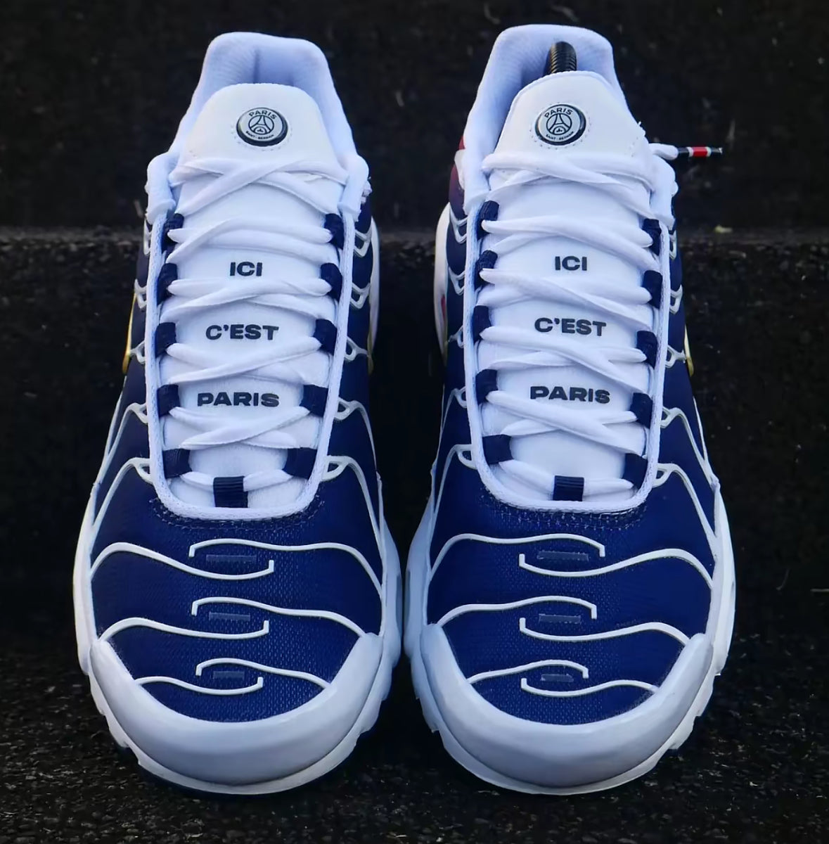 Tn Air Max Plus - PSG Sap Acces