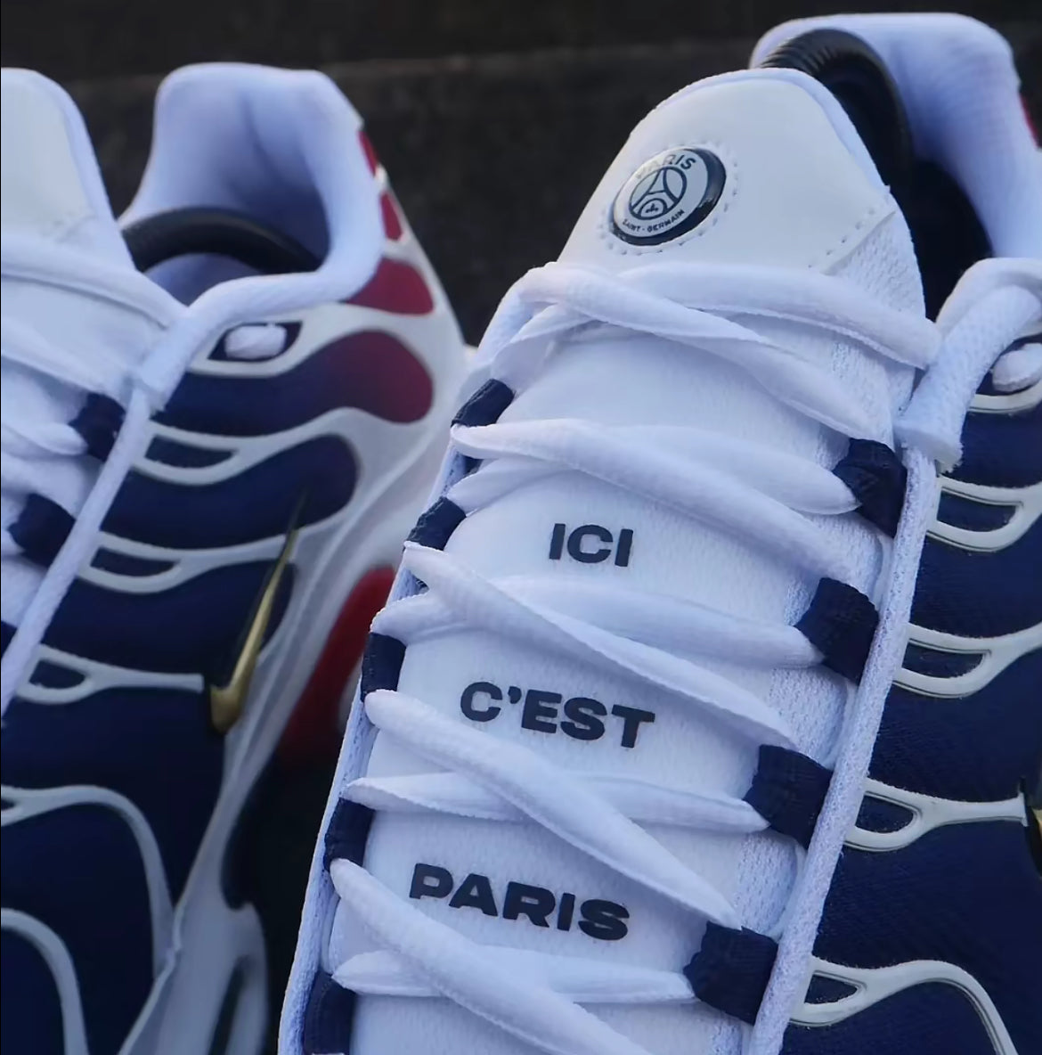 Tn Air Max Plus - PSG Sap Acces