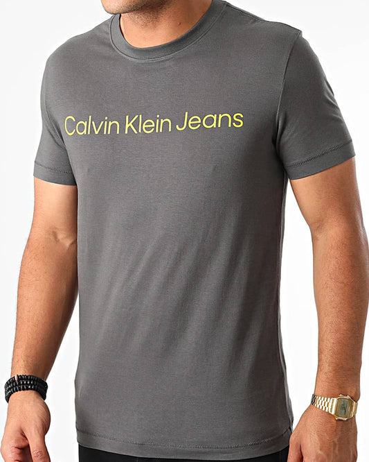 Calvin klein - T shirt Gris Sap Acces