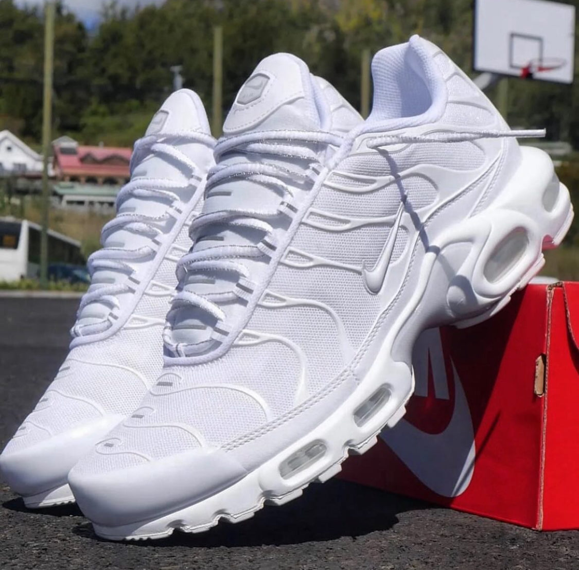 Tn Air Max Plus - Blanche Sap Acces