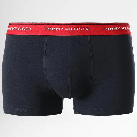 Boxer Tommy Hilfilger Sap Acces